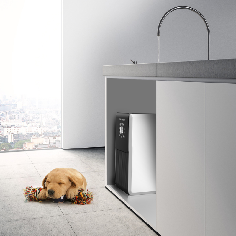 长假期间家乐事净水器久置不用，再次使用需要注意什么？